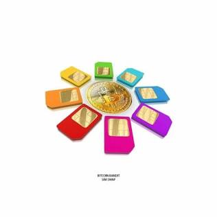 SimSwap Icon
